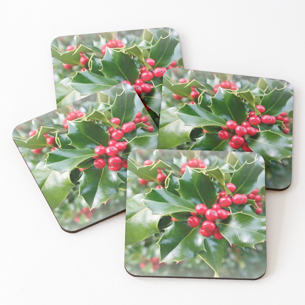 Jolly holly Coasters (Set of 4)