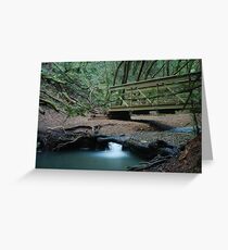 DSC-3222 Greeting Card