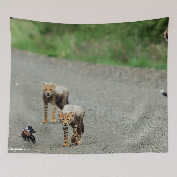 Item preview, FIRST CATCH .........NO! CHEETAH – Acinonyx jabatus  designed and sold by Magriet Meintjes.