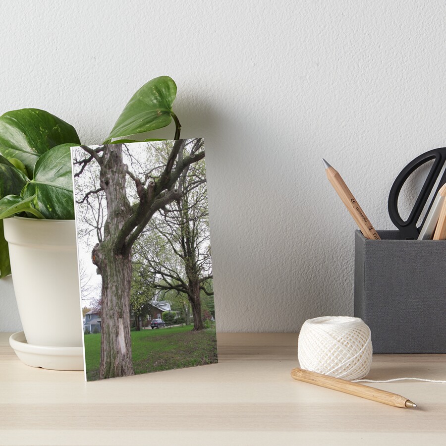 Item preview, Art Board Print designed and sold by MissLADYbugsy.