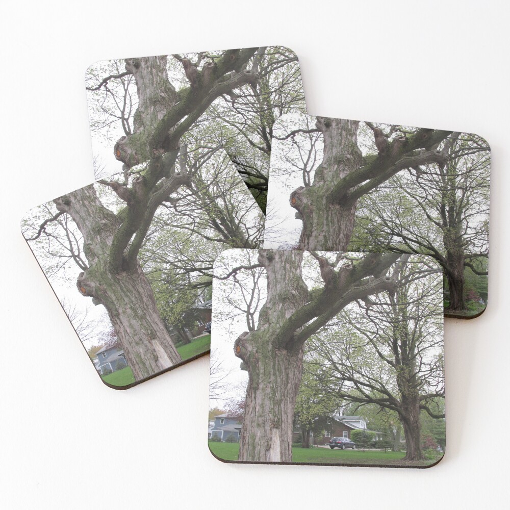 Item preview, Coasters (Set of 4) designed and sold by MissLADYbugsy.