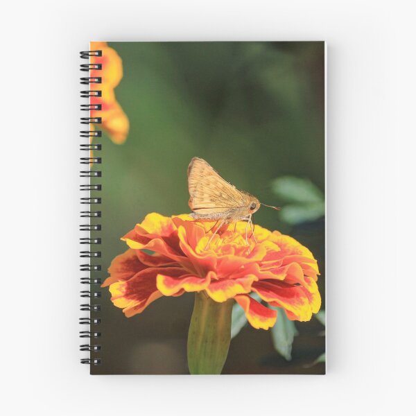 Item preview, "Garden Visitor" designed and sold by wiscbackroadz.