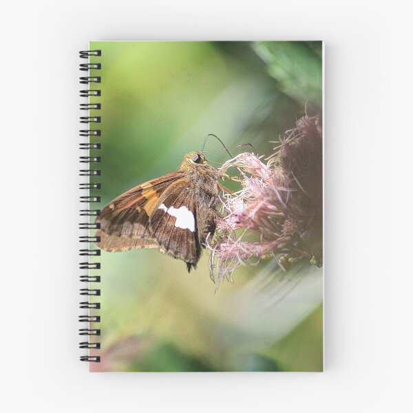 Item preview, "A Moment In The Garden" designed and sold by wiscbackroadz.