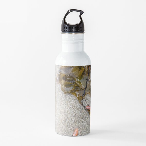 Stunning Seashore Collection - Starfish 1 Water Bottle