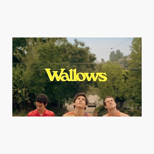 Wallows Wall Art | Redbubble