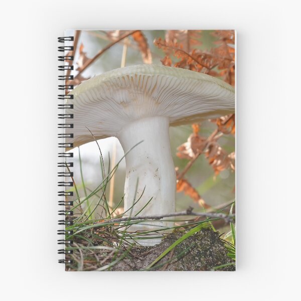Item preview, Russula Aeruginea designed and sold by relayer51.