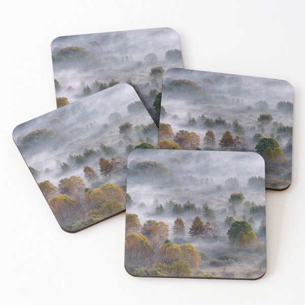 Item preview, Trees in the morning mist designed and sold by pietrofoto.