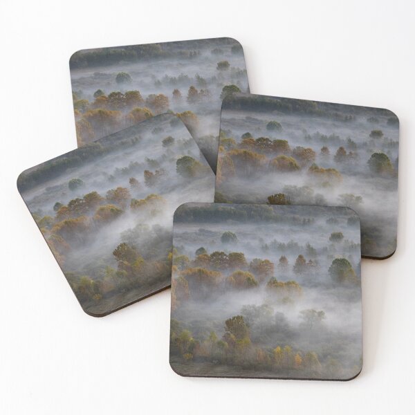 Item preview, Trees in the morning mist designed and sold by pietrofoto.