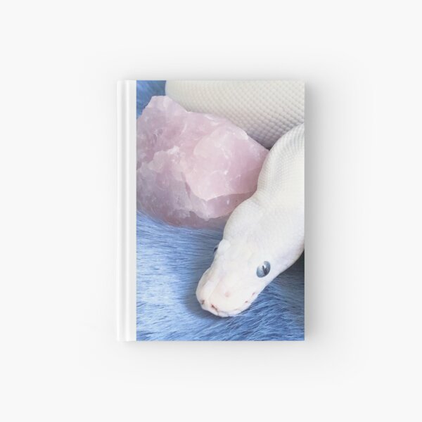 Item preview, Rosequartz and a white snake  designed and sold by dragongirl222.