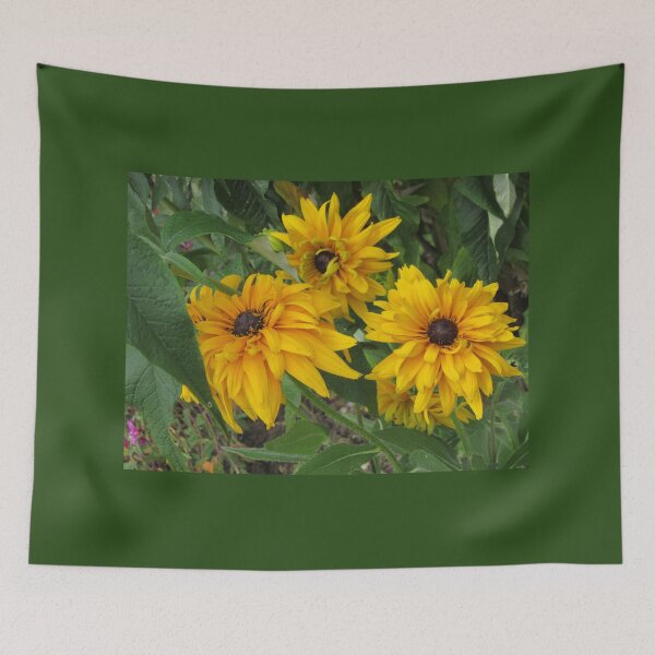 Item preview, Three Rudbeckias designed and sold by lezvee.
