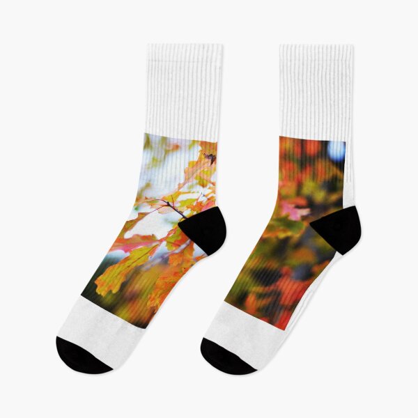 Item preview, Scenic Autumn Leaves  designed and sold by Asiantiger247.