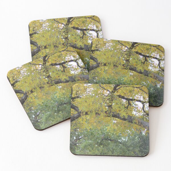 Item preview, Seasons Change  designed and sold by Asiantiger247.