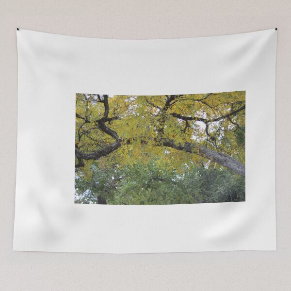 Item preview, Seasons Change  designed and sold by Asiantiger247.