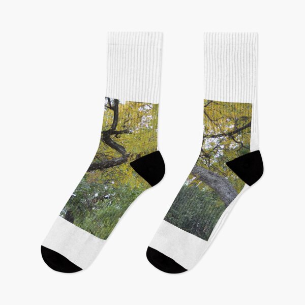 Item preview, Seasons Change  designed and sold by Asiantiger247.