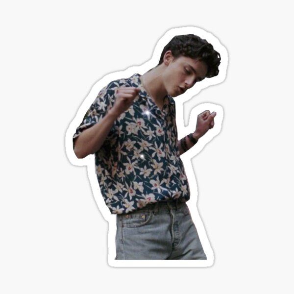 Timothée Chalamet Sticker