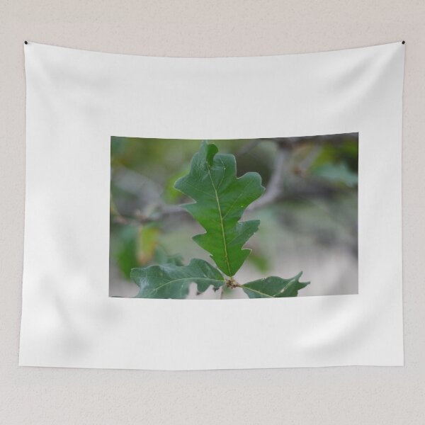 Item preview, Oak  designed and sold by Asiantiger247.