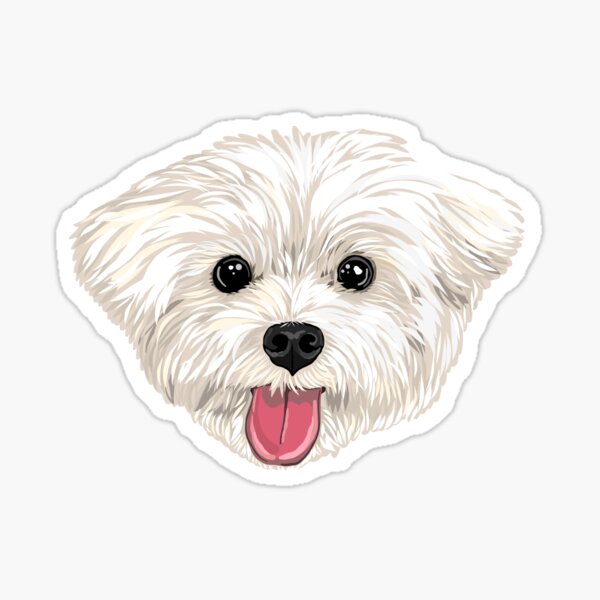 Maru the Maltese (face only) Sticker