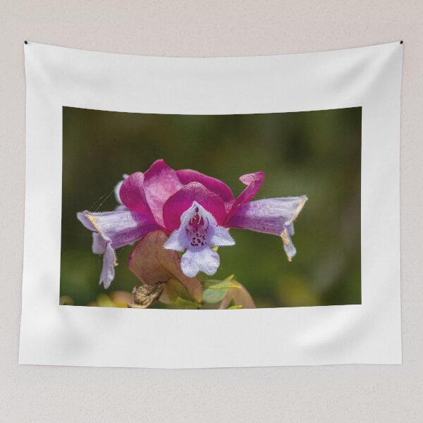 Item preview, Magnificent Prostanthera (Prostanthera Magnifica) designed and sold by DPalmer.