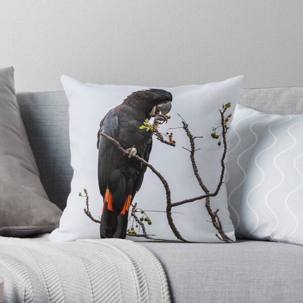 Animal Collection - Black Cockatoo Red Tail Throw Pillow
