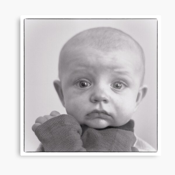 Focused Metal Print