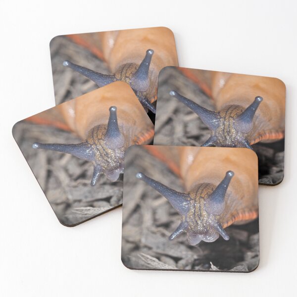 Item preview, Garden slug designed and sold by SDym Photography.