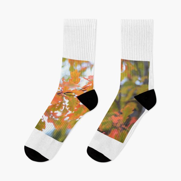 Item preview, Colors of Autumn designed and sold by Asiantiger247.