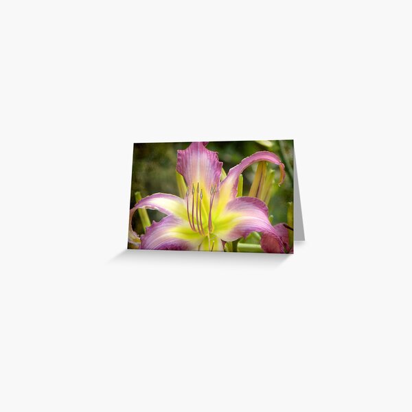 Beauty © Greeting Card