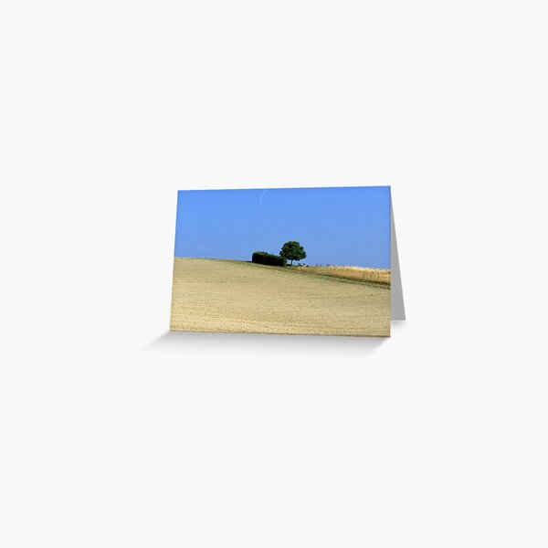 Let's have a rest Greeting Card