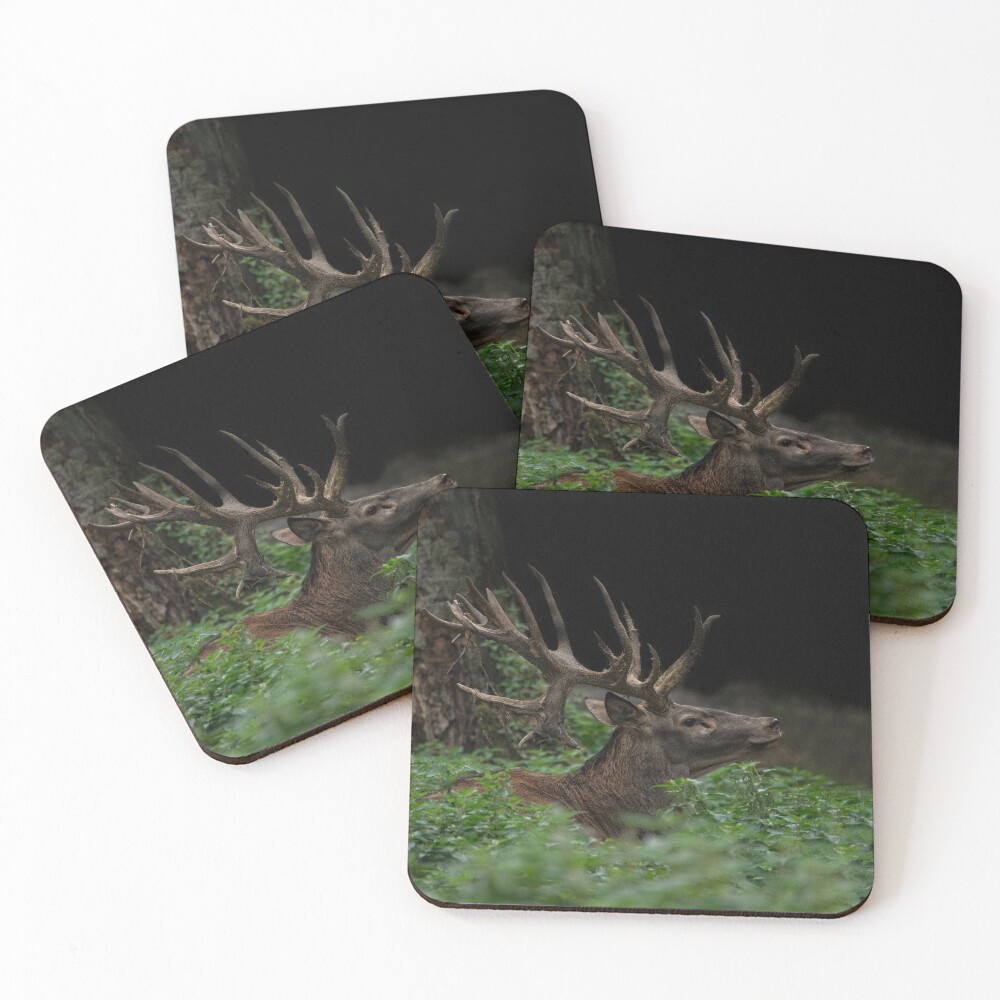 Item preview, Coasters (Set of 4) designed and sold by rawshutterbug.