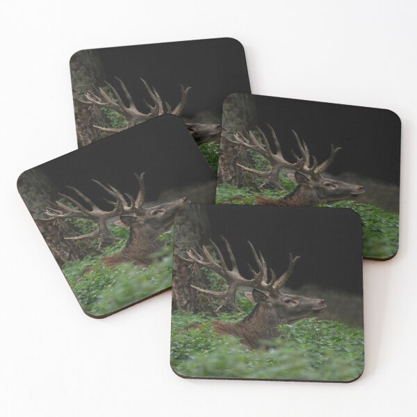 Item preview, Stag designed and sold by rawshutterbug.