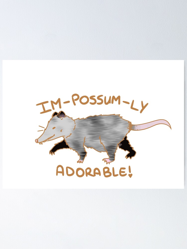 Anime Opossum