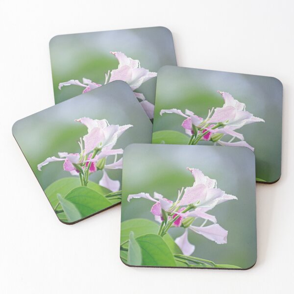 Item preview, Delicate Delight designed and sold by Kerryn Madsen-Pietsch.
