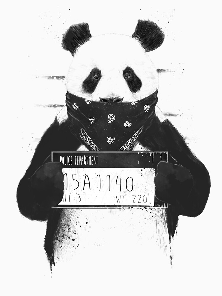 Bad panda by soltib