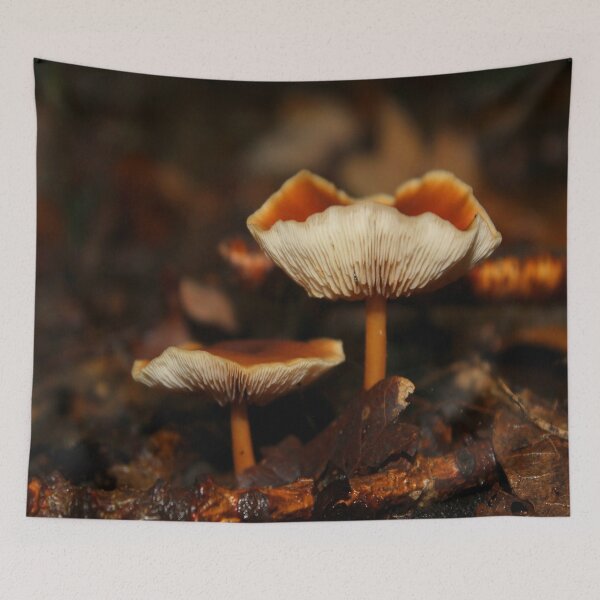Item preview, Wild Mushrooms designed and sold by Vicki Spindler (VHS Photography).