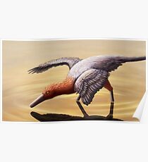 Buitreraptor Poster