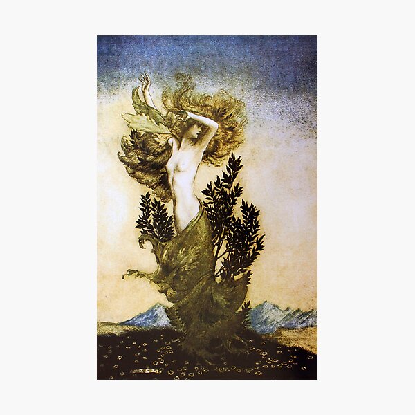 Item preview, Daphne into a tree - Comus by Arthur Rackham designed and sold by forgottenbeauty.