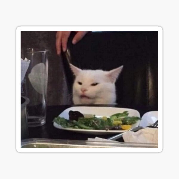 cat meme on crack Sticker