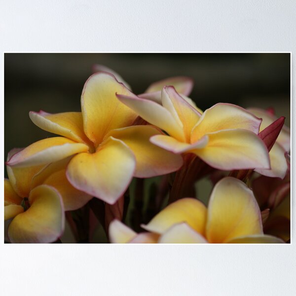 Item preview, Yellow Petal designed and sold by Chris Cherry.