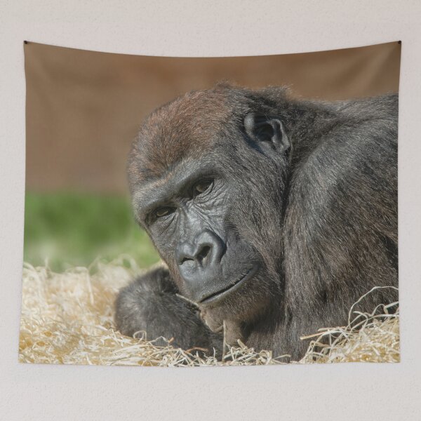 Item preview, Cheeky Gorilla Lope designed and sold by rawshutterbug.
