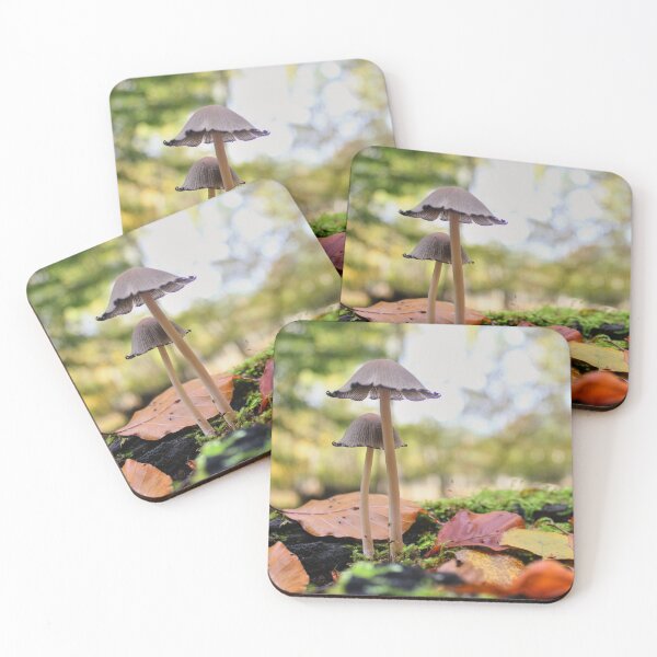 Item preview, Standing Tall designed and sold by Vicki Spindler (VHS Photography).