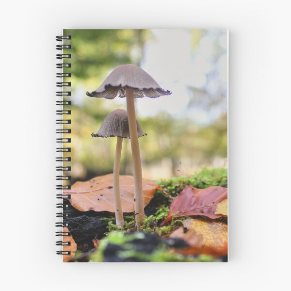 Item preview, Standing Tall designed and sold by Vicki Spindler (VHS Photography).