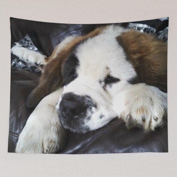 Item preview, Beautiful Saint Bernard puppy relaxing designed and sold by HaleyRedshaw.