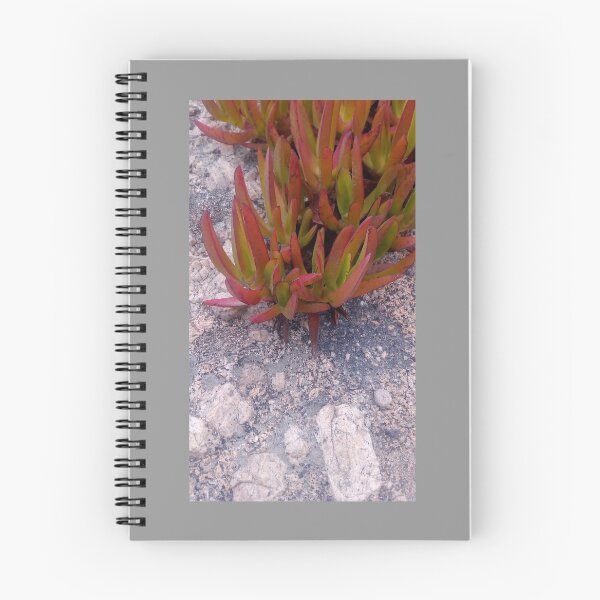 Item preview, Blush Succulent designed and sold by MeyrellesMartin.