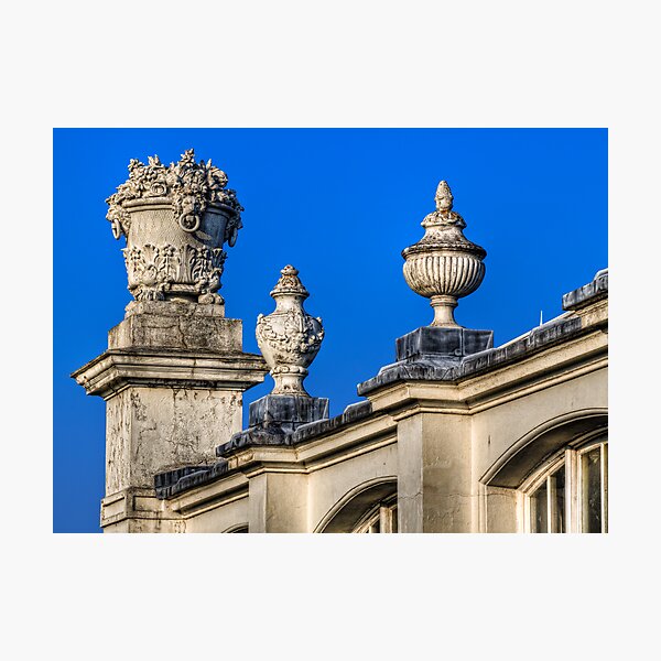 The Temperate House Photographic Print