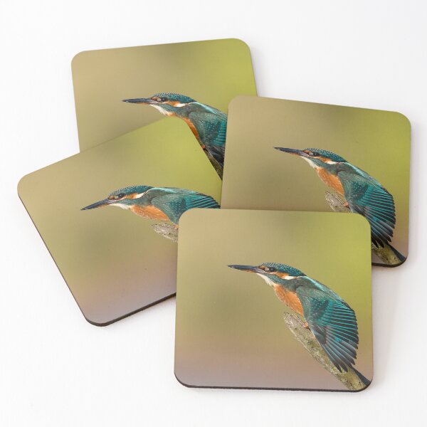 Item preview, Kingfisher perched on a branch with wings outstretched designed and sold by AndrewJonesFoto.