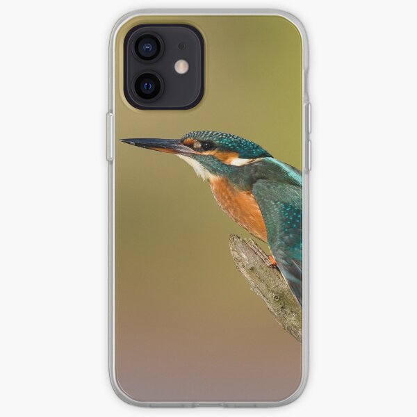 Kingfisher perched on a branch with wings outstretched iPhone Soft Case