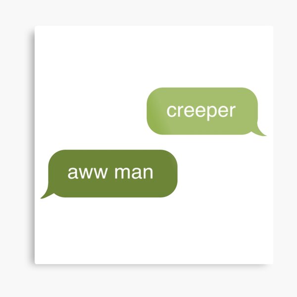 Minecraft creeper aww man Metal Print