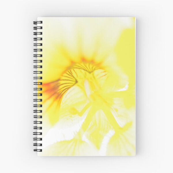 Aperçu de l'œuvre Capucine En Jaune Et Blanc Vibrant créée et vendue par Fleurtje Eliza.
