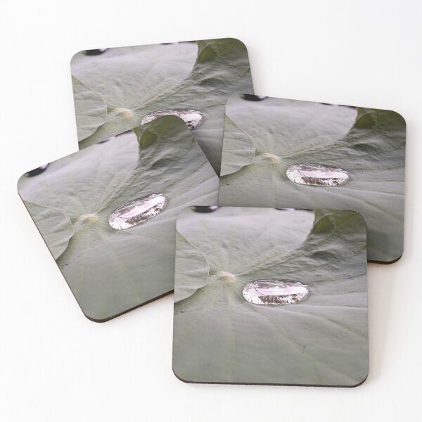 Item preview, Nature photo Water drop on Water Lily floating leaf designed and sold by 8FistsofTees.
