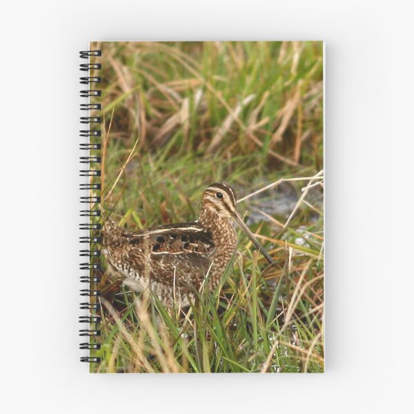 Item preview, Common Snipe designed and sold by Enola Gay Wagner.